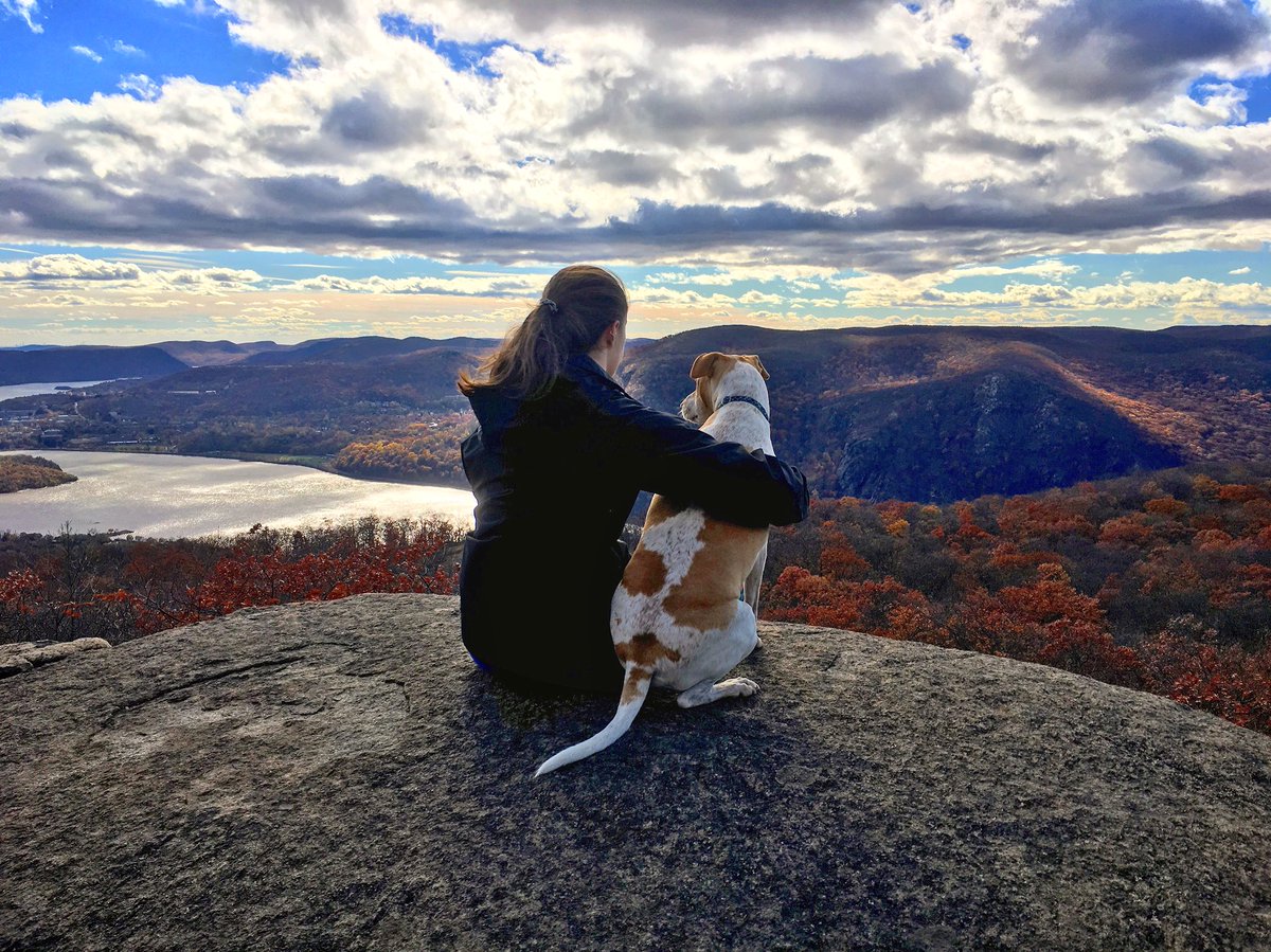 three_whales's tweet photo. #FlashbackFriday to the view from the #hike up the #Bullhill trail in #LakeGeorge, #NewYork #Friyay #FridayFeelings #explorer #HikingAdventures #dogsarelove https://t.co/WPFx7lXjAB