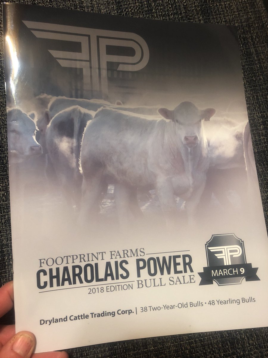 steaknshiraz's tweet photo. Check out the Footprint Farms Charolais Power Bull sale today at 1:00 in Veteran @Drylandcattle @jasondanard @nikkyhertz @Footprint74 Great bulls, great people!
#charolaispower #FootprintFarms https://t.co/u8jtfxSxGF