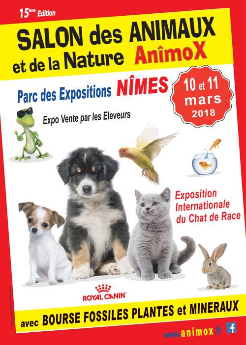 chienguide13's tweet photo. Deux jours pour nous retrouver @chiensgudies13-30-84.fr sur ce salon https://t.co/0dUcLNB8Ba