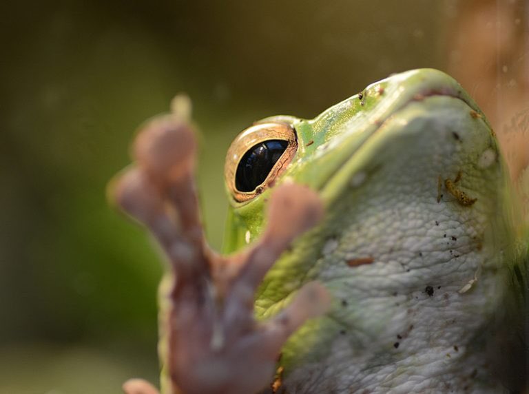 Here are some of our favourite ways to spend March Break in #HamOnt – perfect for both the young and young at heart: bit.ly/2Hlwb77