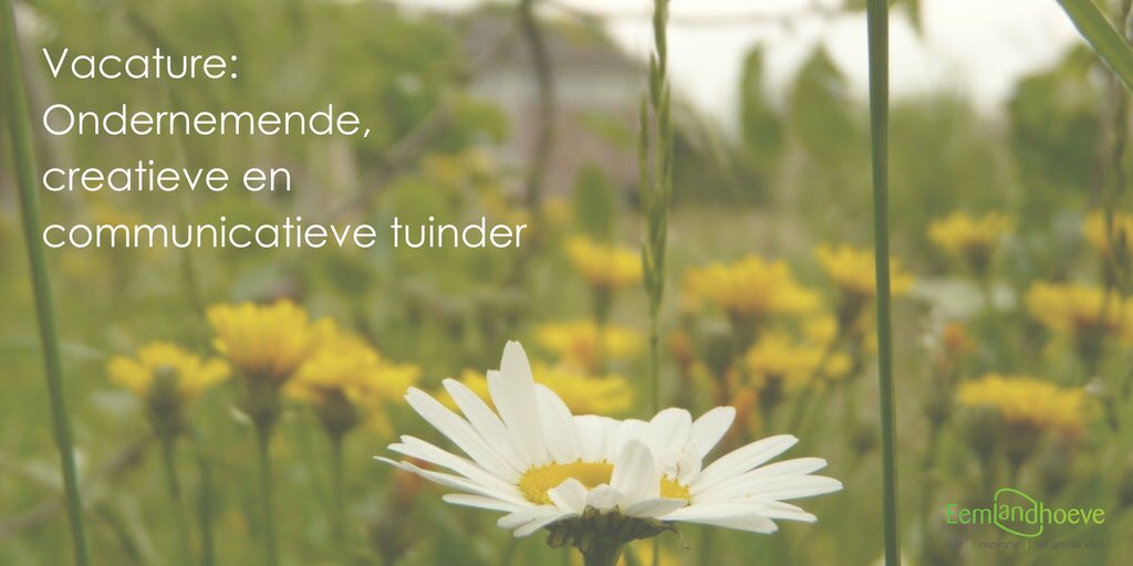 Ben jij een ondernemende, creatieve en communicatieve tuinder? Dan zijn wij op zoek naar jou! Lees hier onze vacature: 
lnkd.in/dxvJvKs