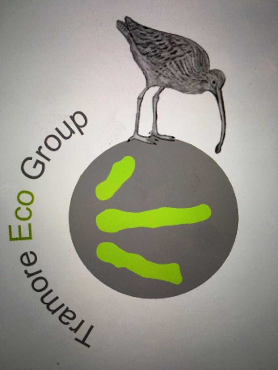 MariaRoyo36's tweet photo. Finished  logo https://t.co/FVnceNKr94