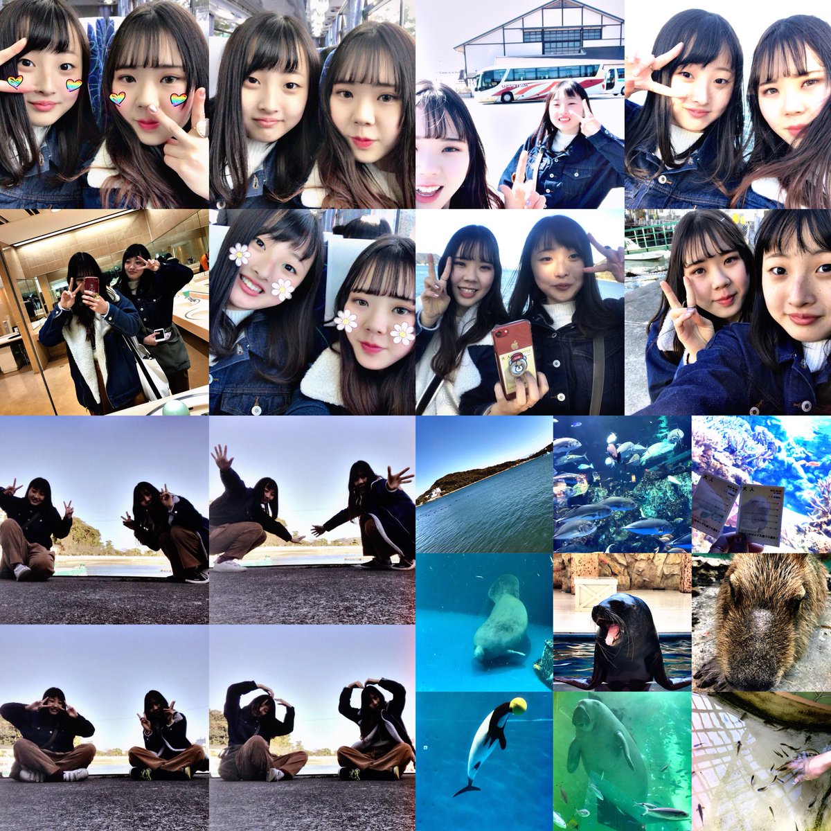 m00___96's tweet photo. ♡3/6~3/7 １泊２日 三重旅行♡

時間みっちりバッチリのハードスケジュール最高に楽しすぎてほんまにあっとゆう間😢😢😢

ほぼ決めずに行ったからここまで上手く良く思わんくて想像のかるく１０倍ぐらいよゆうで楽しんだ❤︎

楽しすぎて最高を2人で超えたあつこありがとう🐜💖

次は卒業旅行✊🌸💜 https://t.co/NPk2uY1Uln