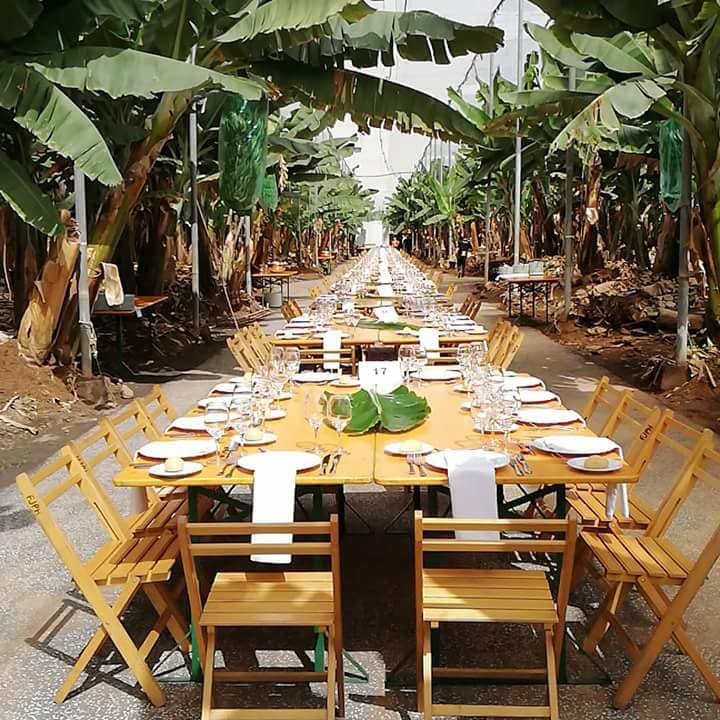 Teamfactory_'s tweet photo. Un día lleno de diversión, trabajo en equipo, aventura y descubrimiento para nuestros clientes

 Gracias a Cititravel DMC por contar con nosotros para esta actividad.
 Es siempre un placer.

#TeamBuilding #MeetTenerife https://t.co/HIgURinIK7