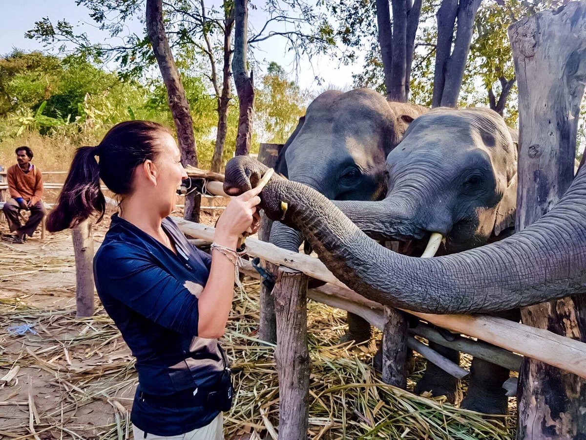 Sal_Hayes's tweet photo. Volunteering in Thailand!! Beautiful country, kids and elephants!! https://t.co/cGn7Gkae3v