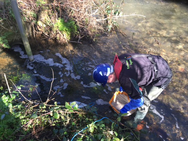 EnvAgencySW's tweet photo. Biobeads: 4mm bits of plastic used in waste water treatment and other industry. These wash up and are eaten by wildlife. So here we are in east Cornwall trying new ways to investigate how biobeads are lost to the environment. https://t.co/zWEtGgNvBM