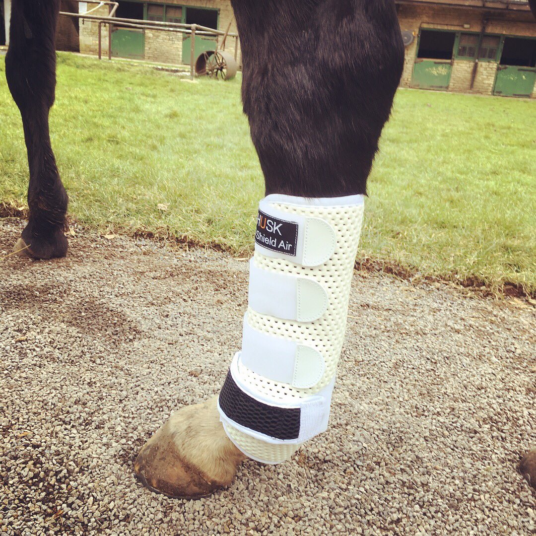 polobeaufort's tweet photo. #BeaufortPoloClub were delighted to welcome #HUSK to the Club today to tell us about their products - we look forward to working with them this season! #poloboots #equinetech https://t.co/D1Jqey7cBm