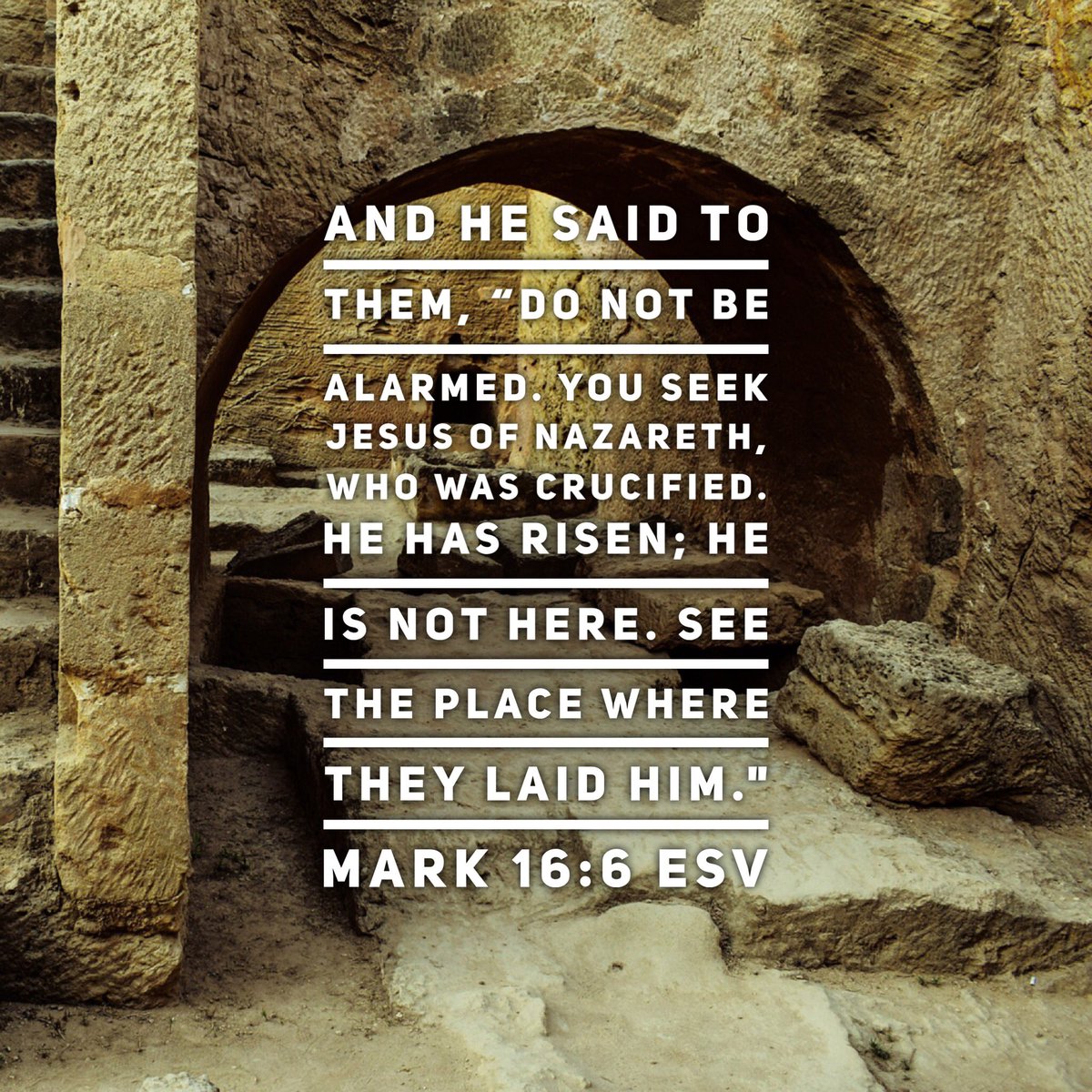 SoapStudy20's tweet photo. And he said to them, “Do not be alarmed. You seek Jesus of Nazareth, who was crucified. He has risen; he is not here. See the place where they laid him." Mark 16:6 ESV
#day07 #mar18 #verse #SOAP #Bible #Study #BibleStudy #EnjoyTheStudy #JoinTheCommunity #ShareTheWisdom https://t.co/XjHRU6139t