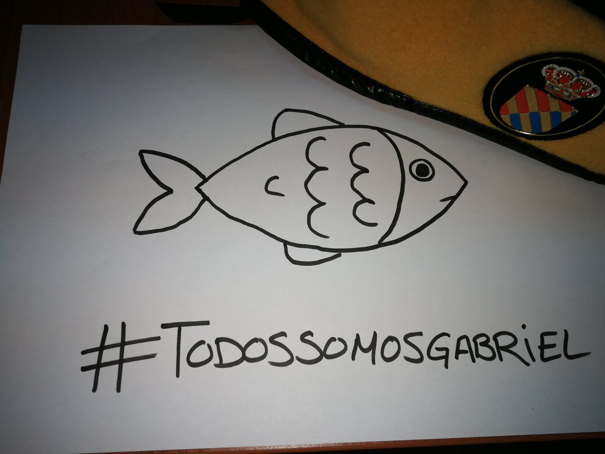 Queremos hacer llegar la energía de cada uno de los integrantes de la #UME a la famila de #Gabriel ¡¡Nada con fuerza!! #Pescaito #TodosSomosGabriel