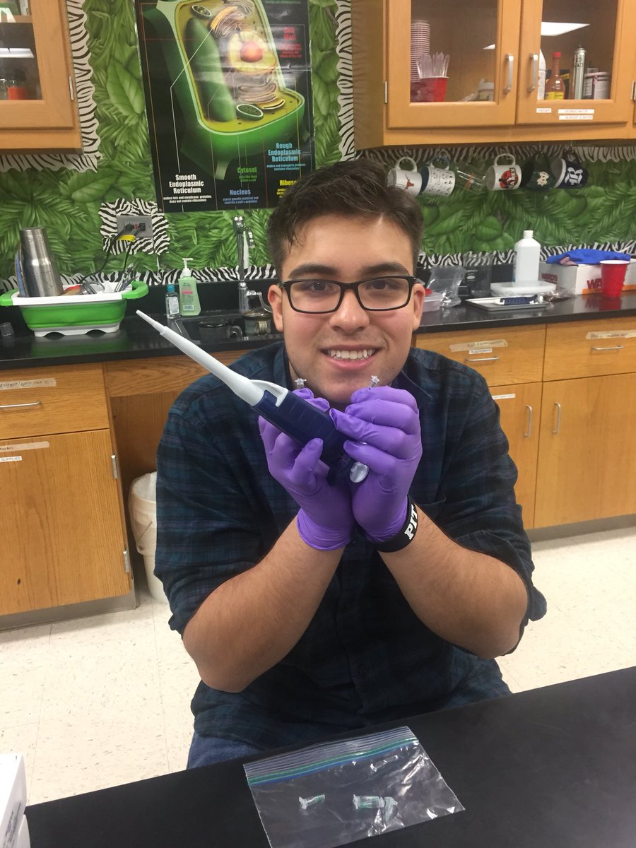 Queen_Nerdling's tweet photo. Myself and lab assistants prepping DNA for PCR for the who did it crime lab #Nerdling #queennerdling #TexanPride #WeAreRexans #OnlyTheBest #apbio https://t.co/m2PsDupZEH