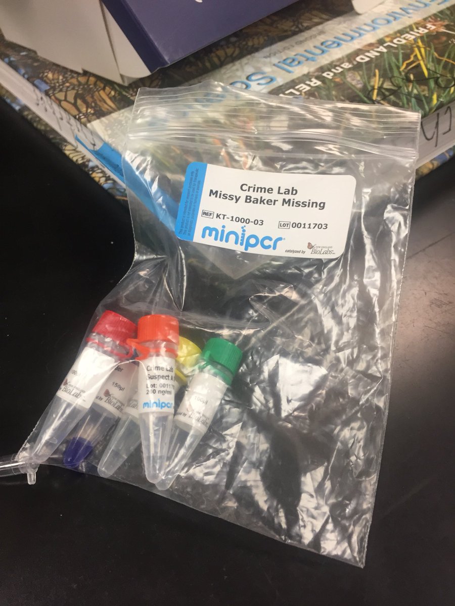 Queen_Nerdling's tweet photo. Myself and lab assistants prepping DNA for PCR for the who did it crime lab #Nerdling #queennerdling #TexanPride #WeAreRexans #OnlyTheBest #apbio https://t.co/m2PsDupZEH