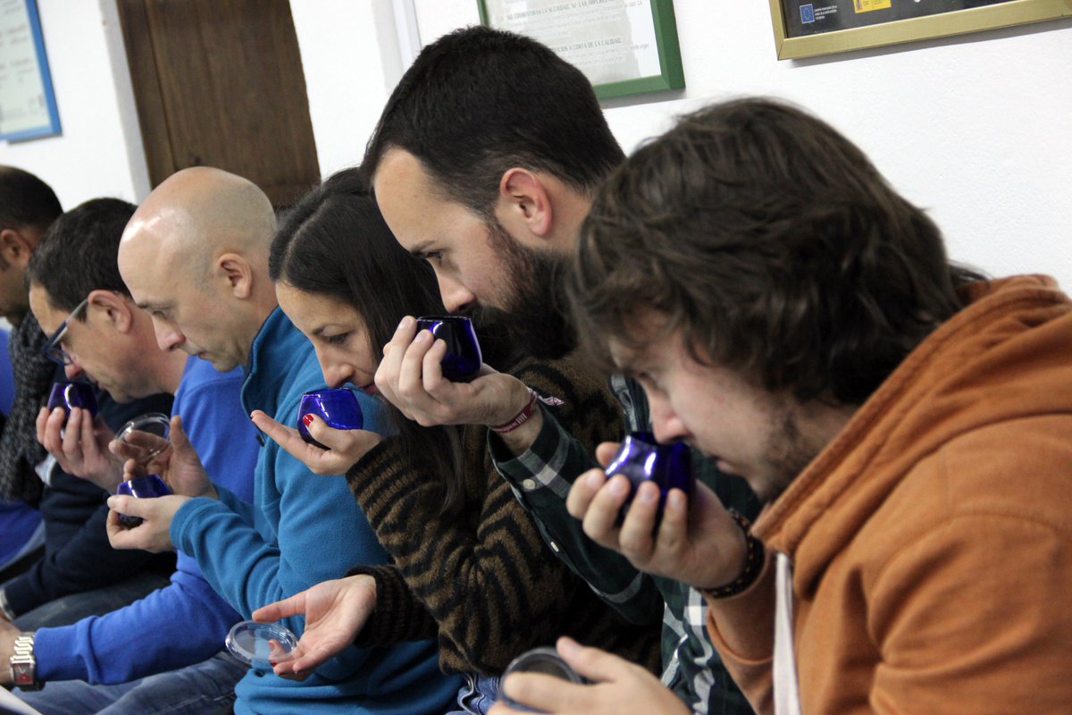 GastroUbeda's tweet photo. CATAS | Celebrada la segunda cata de aceite de las Jornadas Gastronómicas en el Renacimiento en el Centro @olivaryaceite, con la presencia de Castillo de Canena, Pagos de Toral, Nobleza del Sur, Gloriae y Haza La Centenosa: https://t.co/6bSiTZhT7s https://t.co/qHgZBdj3KT