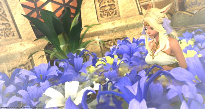 驚くばかりff14 ハウジング 花 最高の花の画像 驚くばかりff14 ハウジング 花 最高の花の画像
