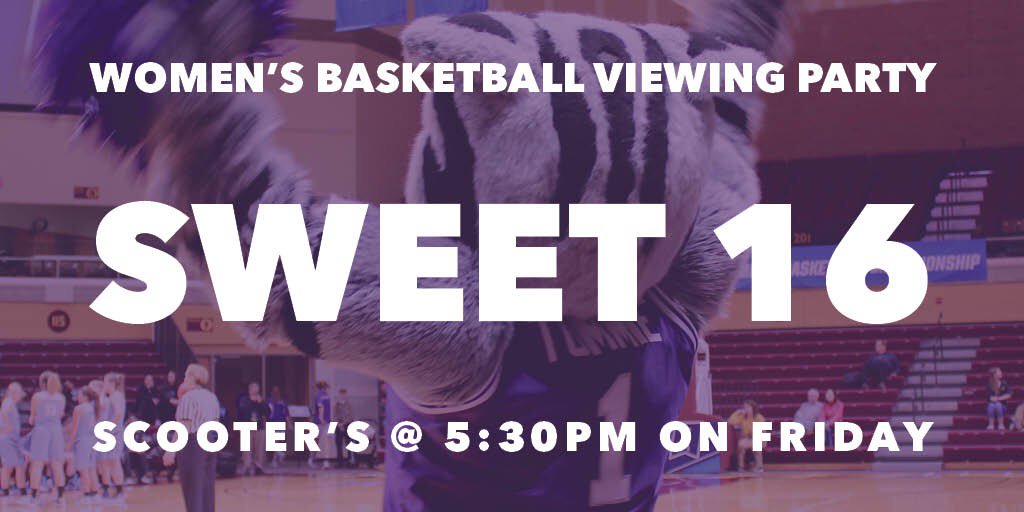TommieMascot's tweet photo. Come cheer on your Tommies! The Women’s Basketball team plays at 5:30 and we’re streaming the game! 

#gotommies #diiihoops https://t.co/qZPDJBvXeC