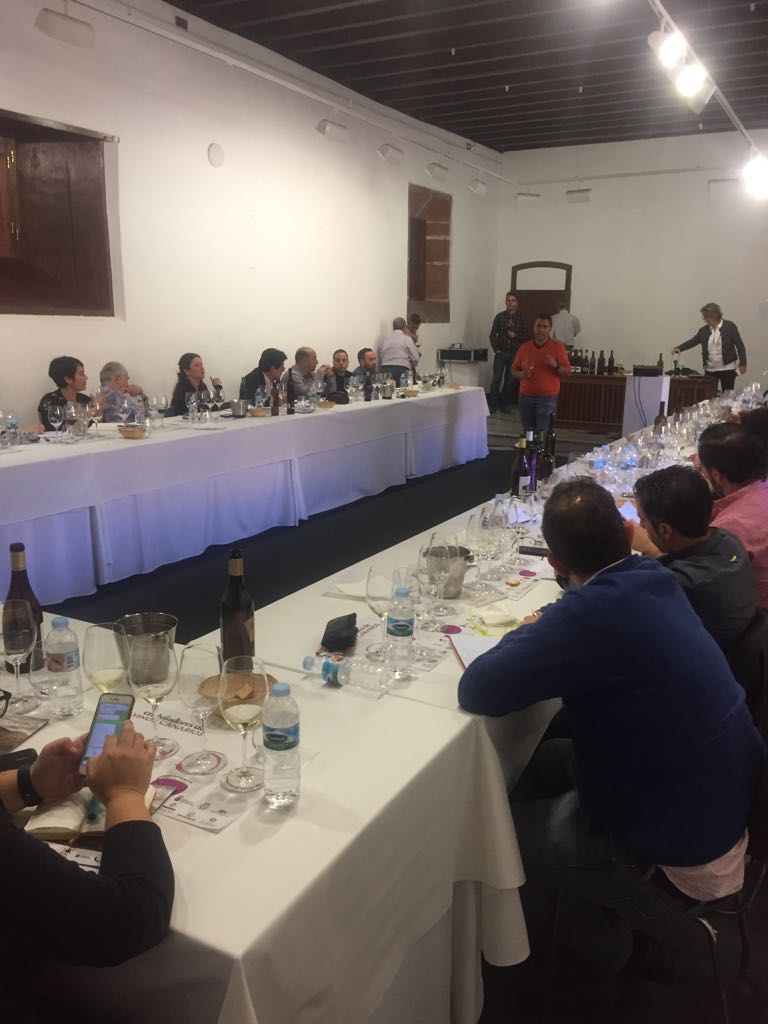 bodegavinanorte's tweet image. Embajadores del Vino Canario catando nuestro Tágara Blanco Marmajuelo  sobre Lías. Una edición especial de 2.000 botellas de un vino que saldrá  al mercado en dos semanas!!