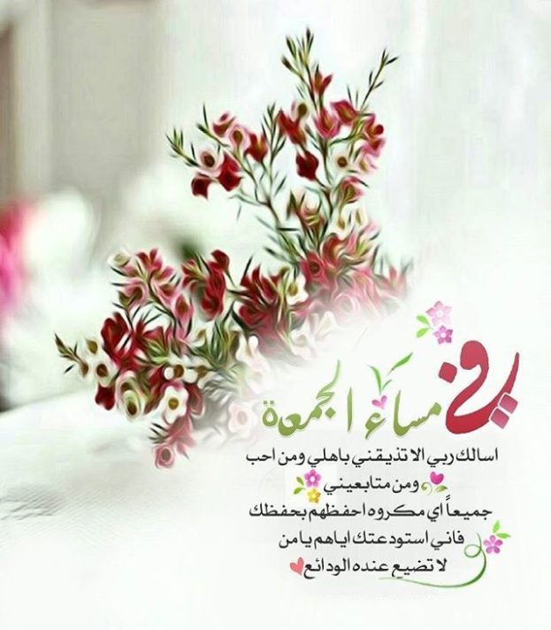 ____NIII's tweet photo. #يوم_الجمعه
اللهم في يوم الجمعه ارزقنا فرحةتلازم تفاصيل ايامنااللهم امنياتنا ودعواتنا المرسله ردها لنا غيثاً مفرحاً https://t.co/6I3FYLh4dp