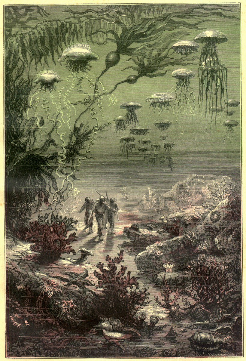 UF_CLAS's tweet photo. Today's Department of the Day for the #500fortheFuture challenge is UF English! Visit https://t.co/lCYXEhJXA5 to give and read about #sciencefiction and apocalyptic fiction expert Terry Harpold 🐊 #FFFDOTD #GoGreater ⭐️ https://t.co/KZSBfThucf https://t.co/XVzs7qevlF