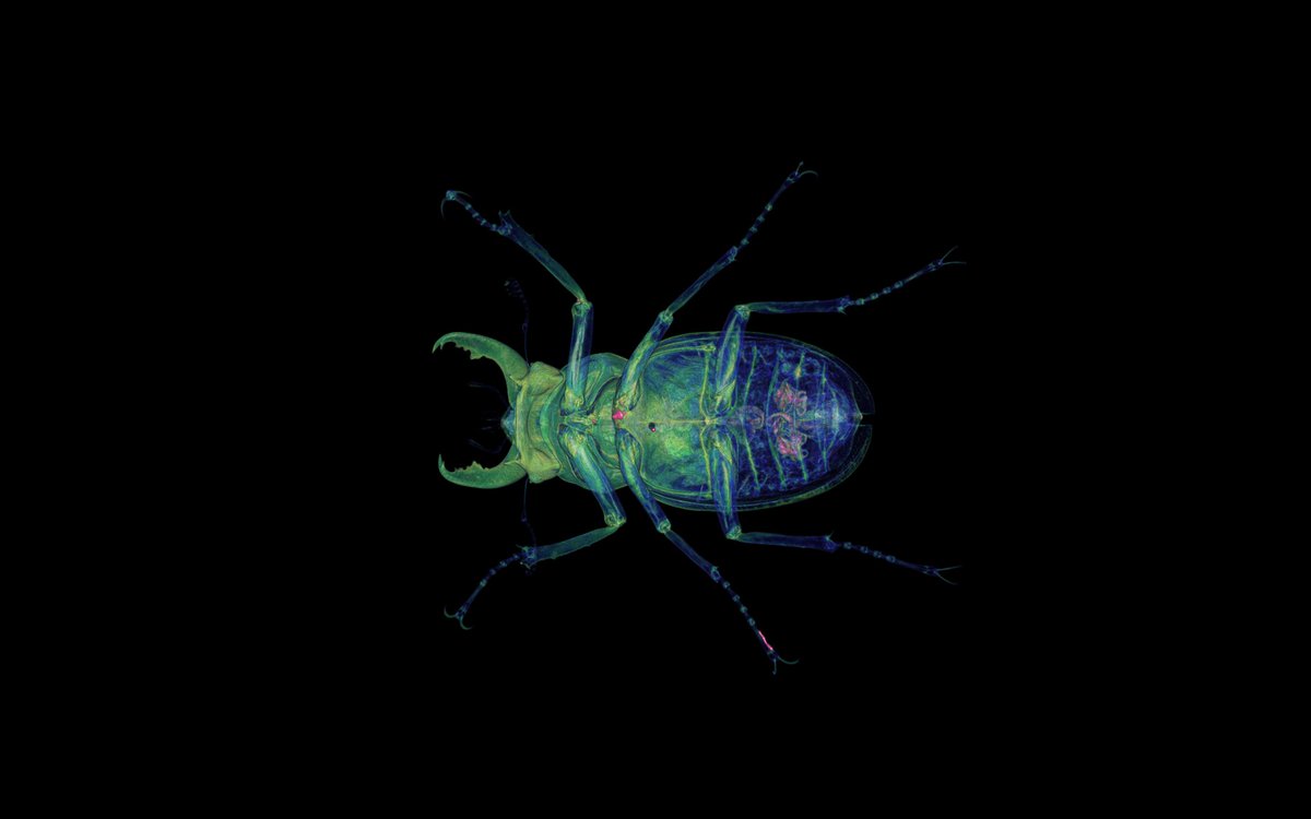 spec_perf's tweet image. The roadmap for #SPECviewperf and #SPECworkstation, plus the latest articles and #freedownloads of #graphics and #workstation #benchmarks. ow.ly/gjmU30iPTxb