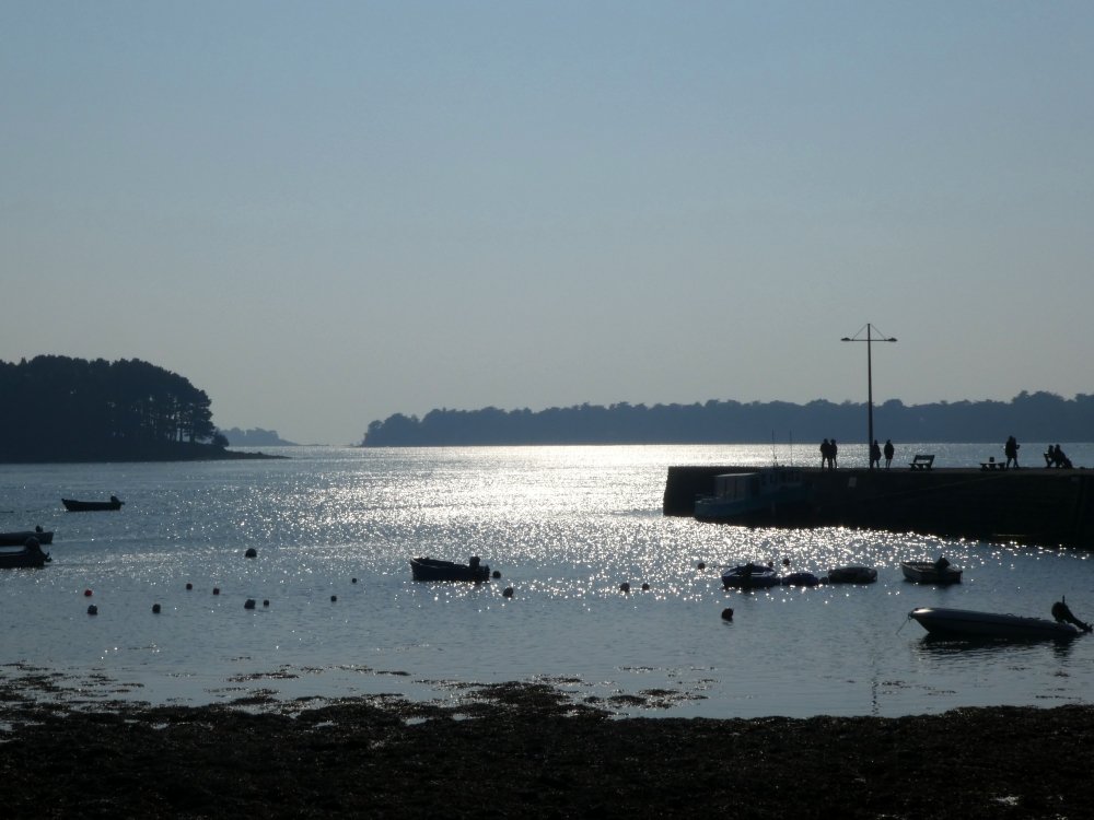 DuGolfe's tweet image. #Larmor-#Baden
Golfe du #Morbihan, #Bretagne