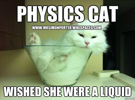 pipeflow's tweet photo. It's nearly the weekend and #physics cat is back!
#Fluid #Pipe #PipeFlowSoftware #Software https://t.co/TuDzoQMl1o