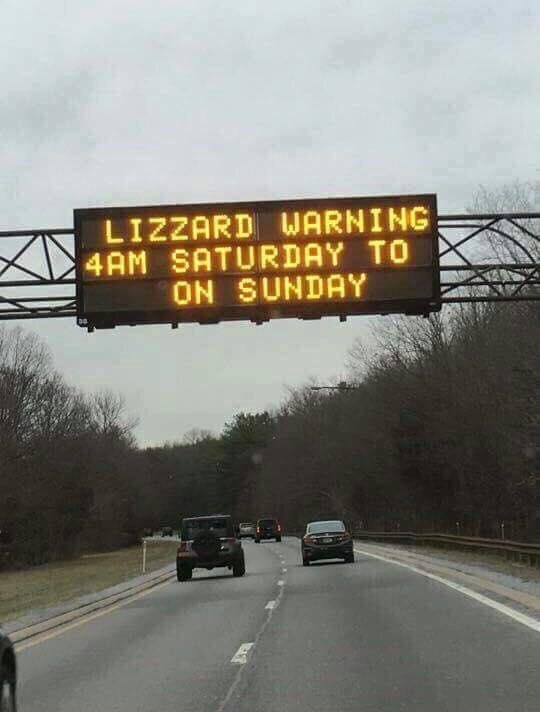 codemouse's tweet photo. Be careful out there this weekend #lizzardwarning https://t.co/thj5EJHAq6