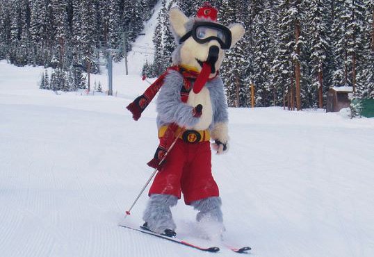 NHLFlames's tweet image. Who’s ready to hit the slopes this weekend with #FirstTracksFriday presented by @SkiFernie? RT this shot of Harvey on the hill for a chance to win four lift tickets at your favourite Resorts of the Canadian Rockies ski area!