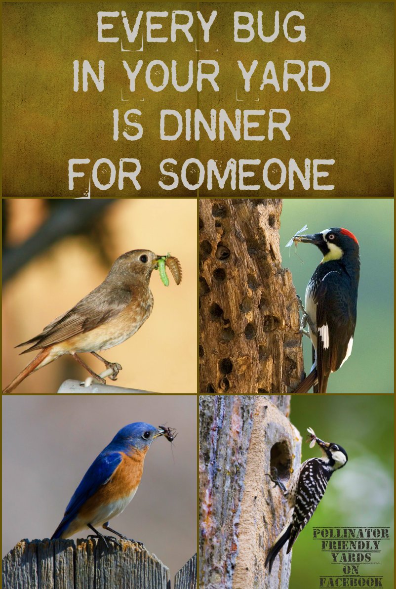 ebook Advanced Computer Assisted Techniques in Drug Discovery