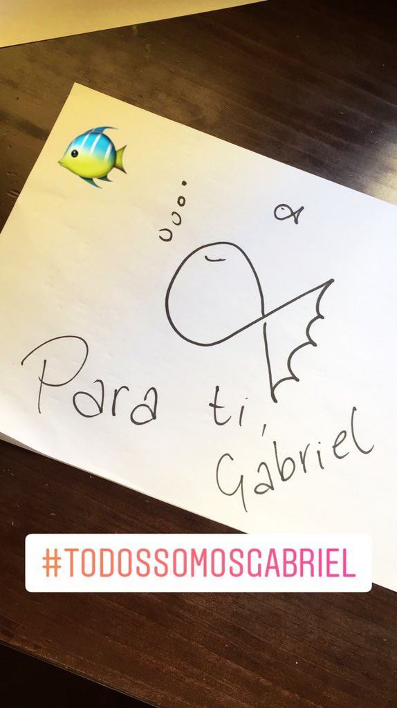Li24h's tweet photo. 🐠🐠🐠🐠 #todossomosgabriel #paratigabriel #elejido #almeria https://t.co/9IrerOnJE8