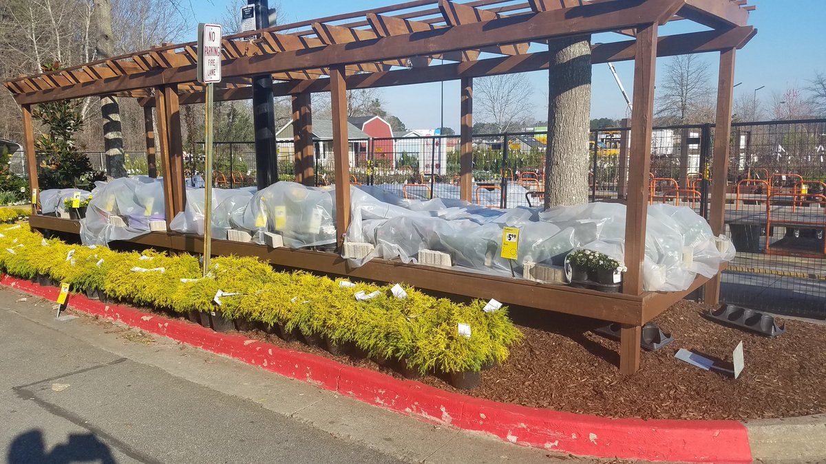 pauld_PBF's tweet image. Thank you HD156 team for taking charge in cold weather protection... @freddyplants @ChrisBergHD @JohnTuten2 @acworthhomedepot @CassKnight3 @PBFmedia @wachitgrow #whenitscold #protectionplan