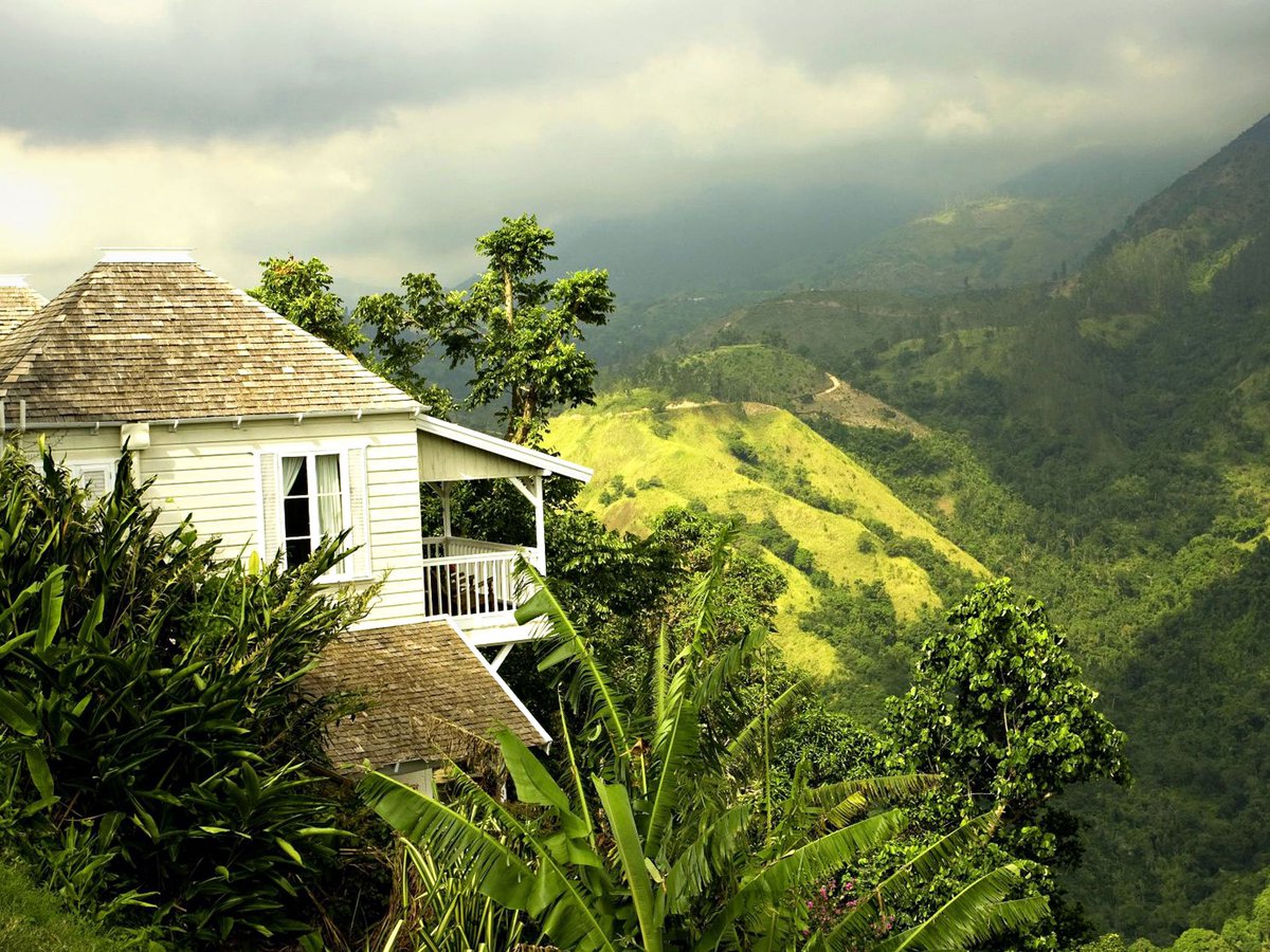 SCJHOLDINGSLTD's tweet photo. Good morning SCJH FAMILY!
#scjh #land #landmanagement #sweetjamaica https://t.co/owMqzQrwjk