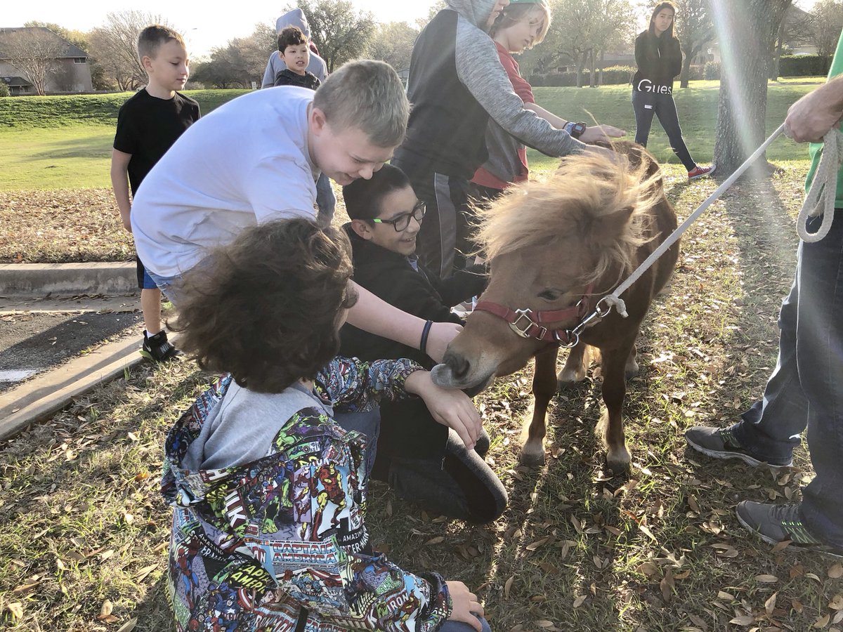 mrsyacoub's tweet photo. It’s a beautiful morning @GattisRRISD #gattisRISE Pets class has a miniature pony visitor! https://t.co/S50H57cHSV