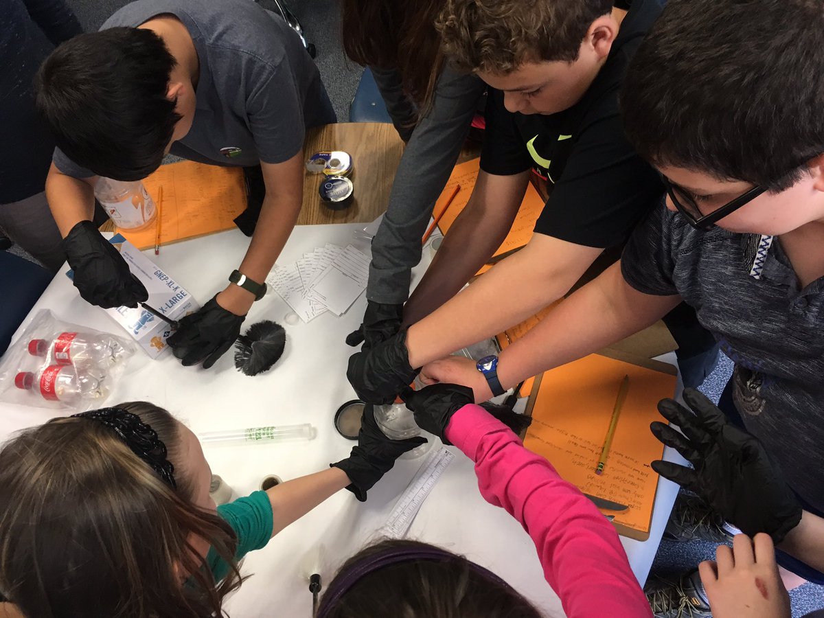 MrsBrownGTMath's tweet photo. Love when our GT team shares resources & engaging units of study. 2nd engineered traps for those troublesome leprechauns while 5th analyzed handwriting samples & lifted suspect prints during our CSI investigation. I LOVE MY JOB @EdWhiteEstem #CcisdGT https://t.co/gKGlvWPLD5