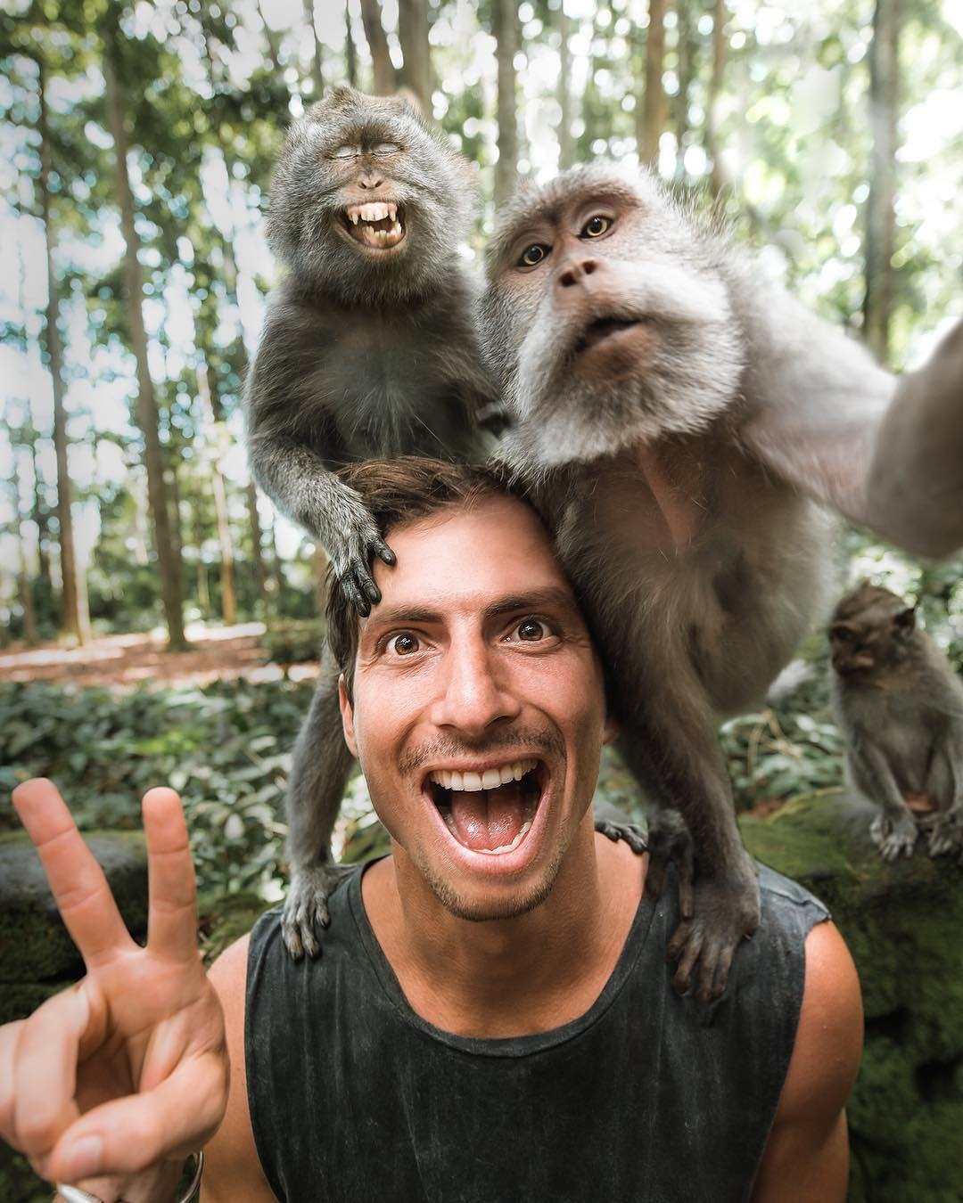 The monkey selfie.. they are so cute , he is holding my hand 💗 Superrr  cute , the best thing is they do not torture them to take thes... |  Instagram