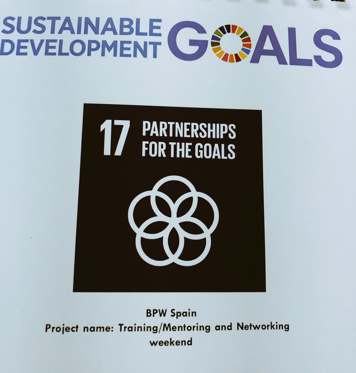 Sustaainable Development Goals @BPWI_CommAdmin #17SDGs+1 @bowspain lidera 3 de los proyectos #bpwleaderssummit2018
