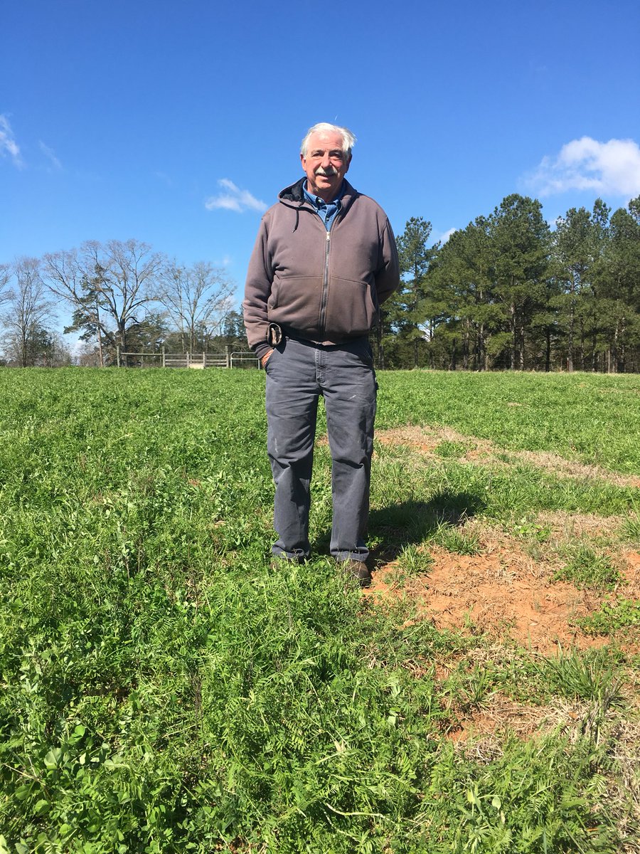 TheMuddyTiger's tweet photo. Great day yesterday spent with Soil Health Champion &amp; cattle producer, Don Jackson. Reclaiming compacted soils with cover crops: #SouthernCoverCrops @CUESNews @ClemsonCAFLS https://t.co/aesEAlnwp1