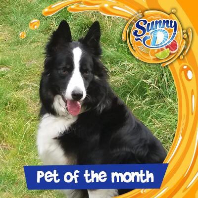Sunny D tweet media