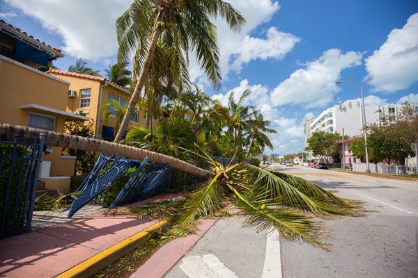 RyanCMach's tweet photo. Months After Hurricane Irma, Many Floridians Still Awaiting Payouts https://t.co/dewvBhrOot via @preciseleads https://t.co/Gisd3sorce