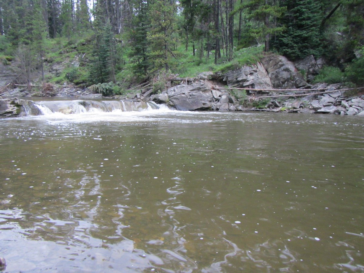 alberta_bha's tweet photo. There may be some #trout in here. #publiclands #fish #fishing #hunt #hunting #keepitpublic #albertahunting #explorealberta #yyc #yql #yeg #yqf #calgary #edmonton #lethbridge #bighornwildland #RamRiver Credit: Dean Baayens https://t.co/KoeCML31Ho