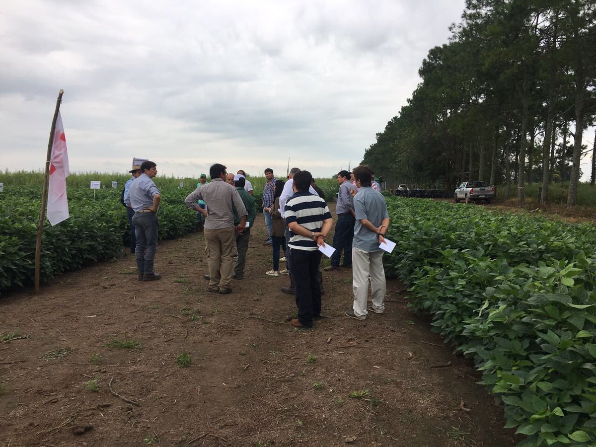 proagrosrl's tweet photo. Nuestros comerciales en la jornada de manejo de atascos de la @eeaocoficial 🍀🌱 • #agro #campo #agricultura #eeaoc #tucuman #granos #caña https://t.co/nJ2CjdbbRR