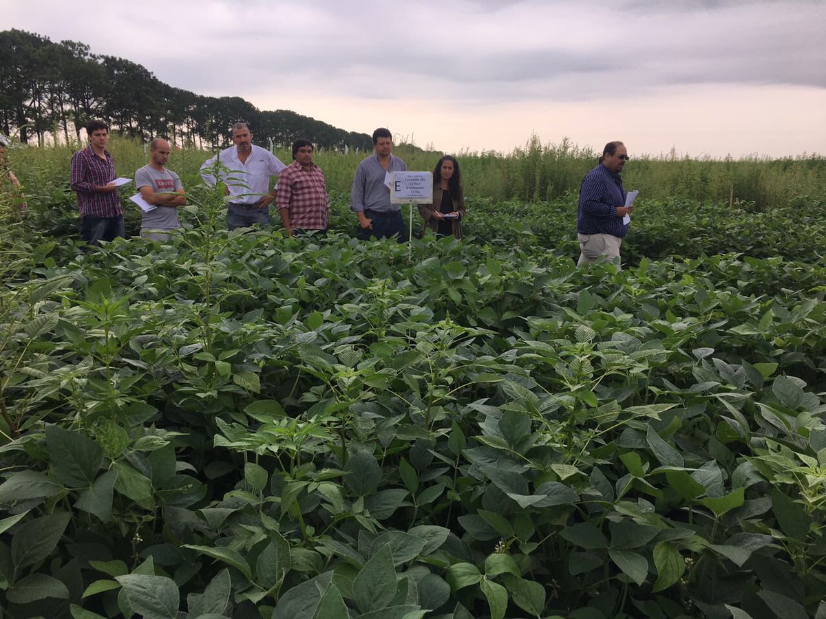 proagrosrl's tweet photo. Nuestros comerciales en la jornada de manejo de atascos de la @eeaocoficial 🍀🌱 • #agro #campo #agricultura #eeaoc #tucuman #granos #caña https://t.co/nJ2CjdbbRR