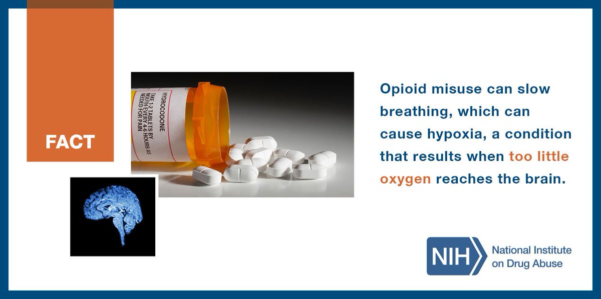 NIDAnews's tweet photo. Opioid misuse can slow breathing, which can cause hypoxia, a condition that results when too little oxygen reaches the brain: https://t.co/Xl8HdqLSgo #DrugFacts #FridayFacts https://t.co/hT4iOPPJTf
