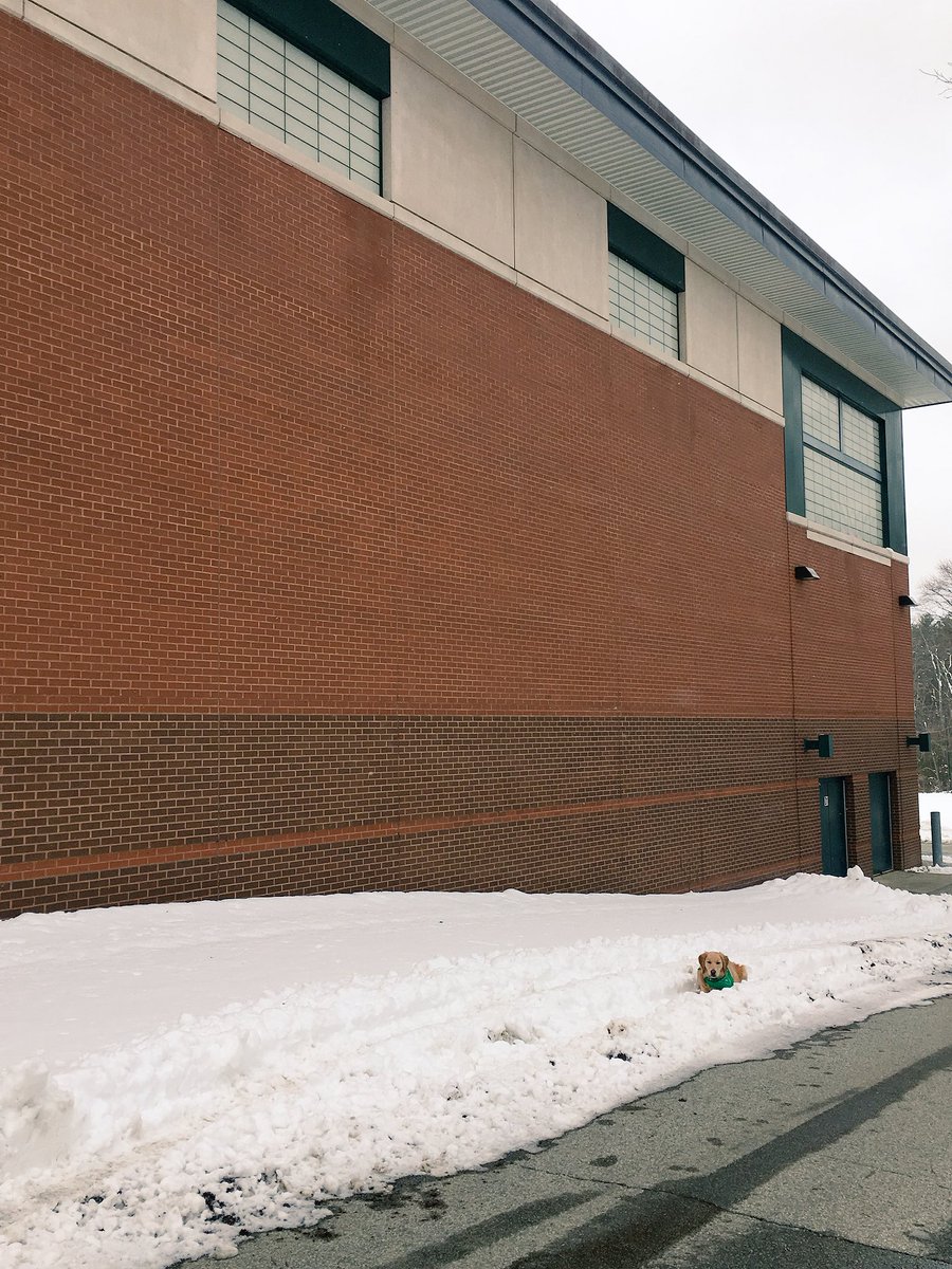 HopkintonGLAX's tweet image. No school? No problem! Wall is open for some stickwork reps! Get those touches in! #stickwork #springIScoming