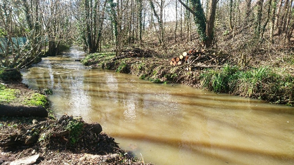 johnoflynnEA's tweet photo. 1/2 #WestHantsFieldTeam cleared blockage on #MonksBrook nr #Swathling @SouthamptonCC today: reducing flood risk to local homes & businesses. #floodaware At least the trees were natural! Look at 2/2 to see what else we found ☹️#environment @dailyecho @BBC_Hampshire @wave105radio https://t.co/jrDVTVx3rB