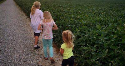 More and more farms are being run by women, Sarah from <a href="/farmwifecrafts/">Sarah</a> explains how her 3 daughters are involved on their family farm PLUS she shares a family favorite Beef Stew recipe! #InternationalWomensDay #INAgPromo - sot.ag/7ptnR