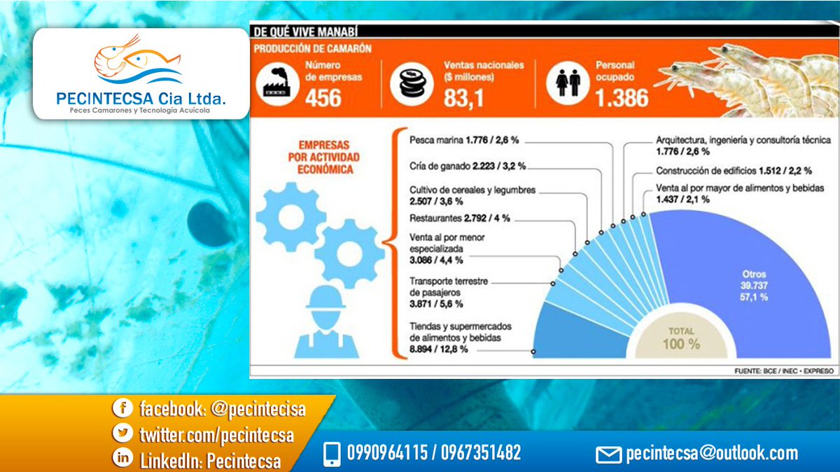 pecintecsa's tweet photo. ¿Quieres invertir en producción de Camarones?...¡Llamanos!

Somos especialistas en diseño, montaje y ejecución de #Sistemas #Intensivos y #SuperIntensivos (#Biofloc Systems) para #Peces y/o #Camarones !!  Contáctanos al 0990964115 / 0967351482 https://t.co/G0fqLKXyTt