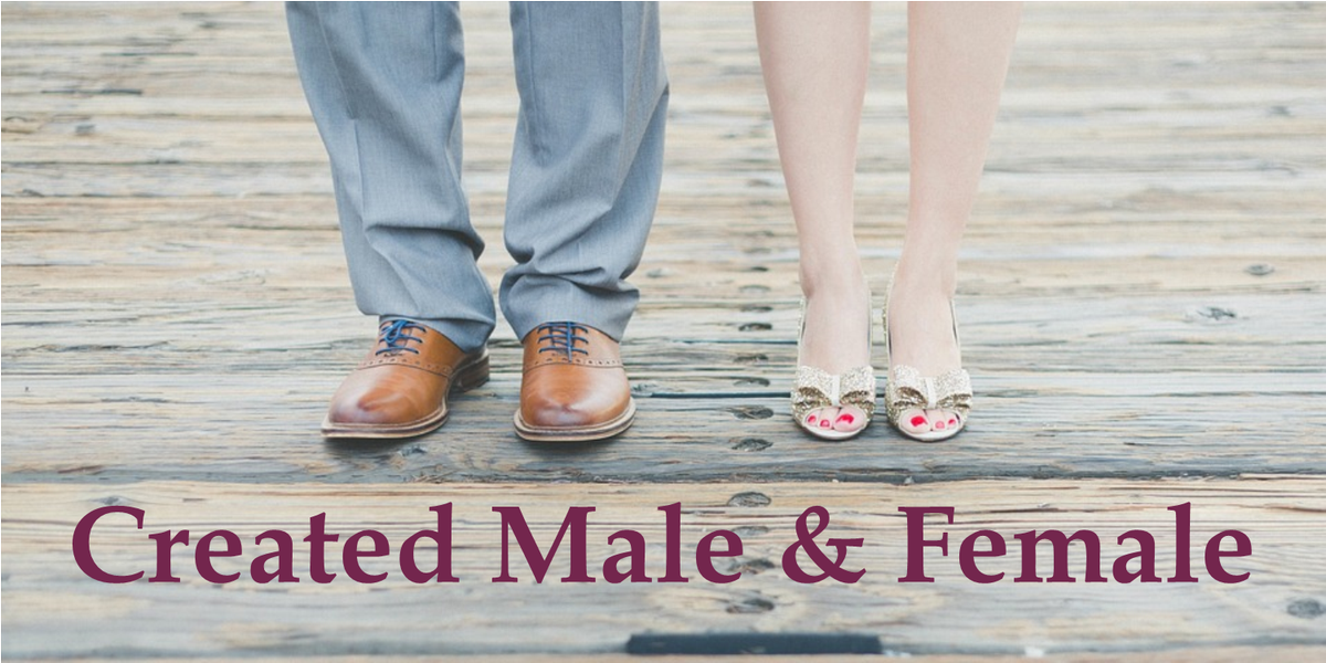 lcmside's tweet photo. An article was recently published in our Professional Workers' Packet detailing a letter, signed by 20 religious leaders, affirming the truth that marriage is between one man and one woman: https://t.co/xAPk8hx1Z7   The letter itself can be found here: https://t.co/blQL5WKs7g https://t.co/c8ZgHykfjI