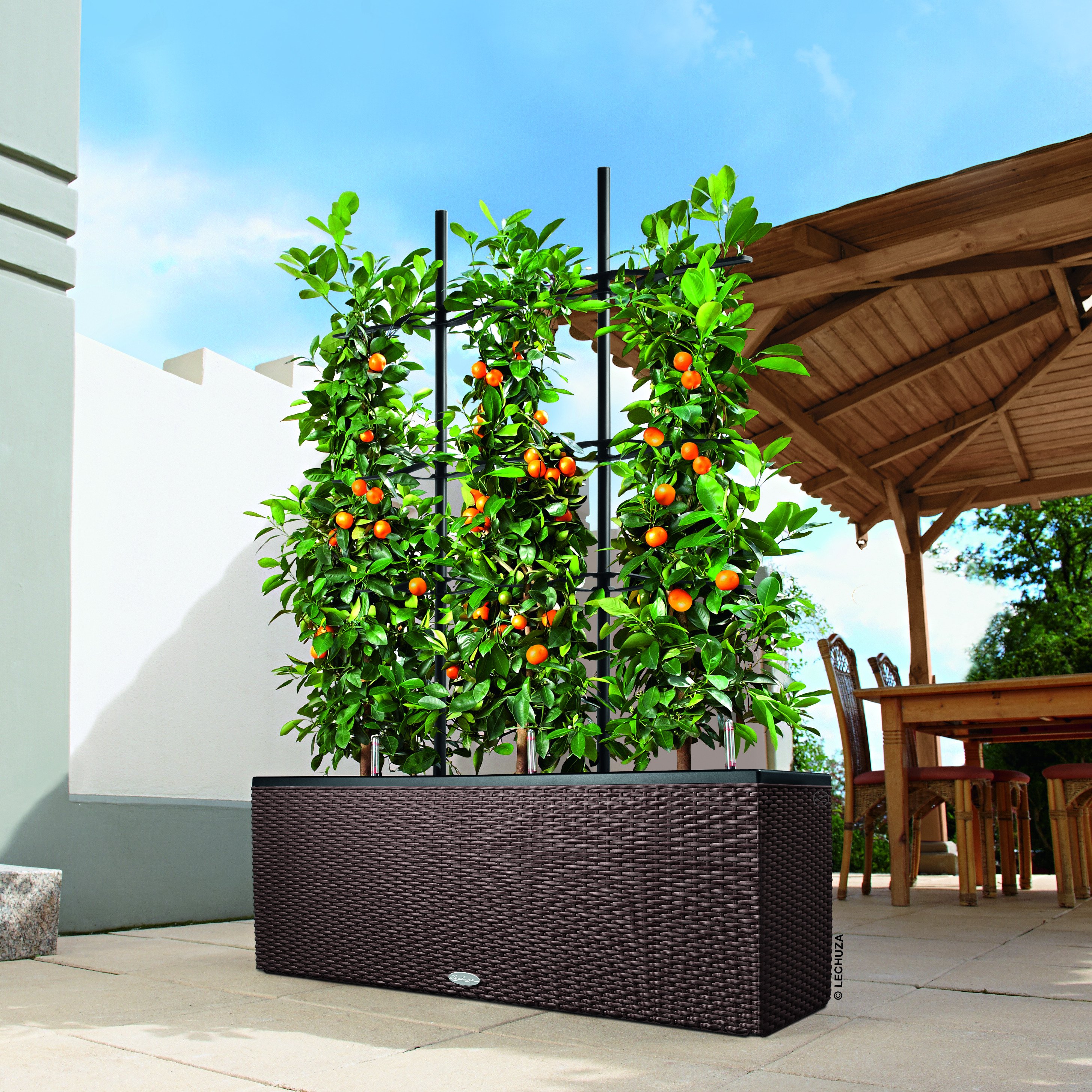 кашпо для зонирования пространства