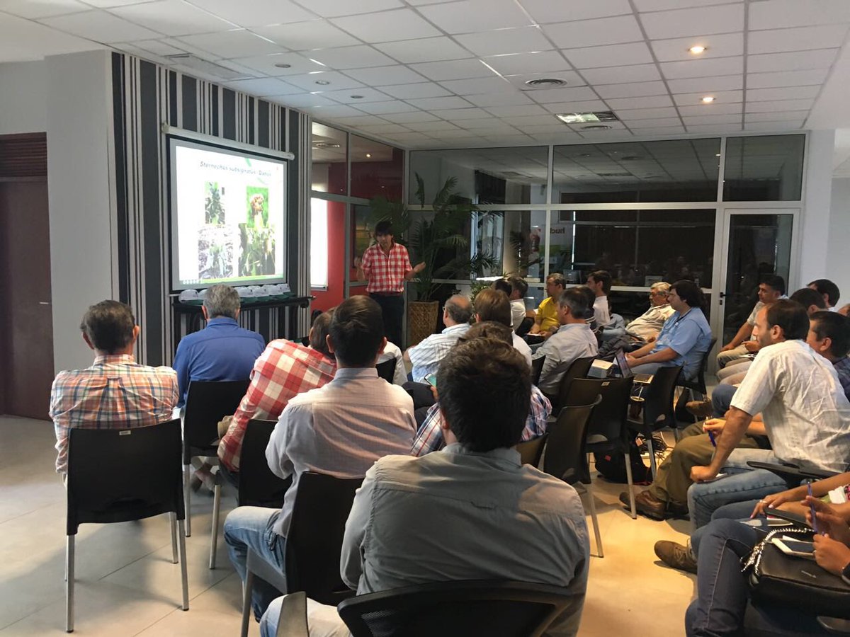 proagrosrl's tweet photo. AHORA • #Taller de #plagas y #enfermedades de la mano de @SummitAgroAr y @proagrosrl 🍀🌱 #campo #agro #agricultura #agriculture #granos #caña #citrus https://t.co/1RDiLcraez
