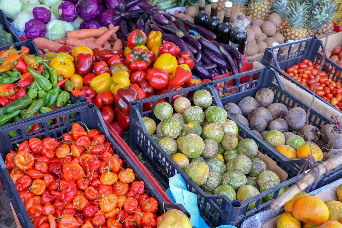 DrKristieLeong's tweet photo. Compare the cost of healthy food to the price of being ill. Who wins? Don’t be afraid to spend more for foods that nourish your body. It’ll ultimately pay off! #healthyeating #wellness https://t.co/x0490q0rCN