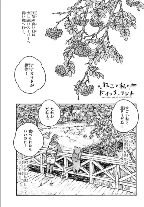 漫画『ねこと私とドイッチュラント』#サンデーうぇぶり にて4話め更新されました!  今回は買いもの帰り、散歩道です。 楽しんでもらえればうれしいです:)次回は3月24日(土)更新!よろしくおねがいします〜 #ねこDe 